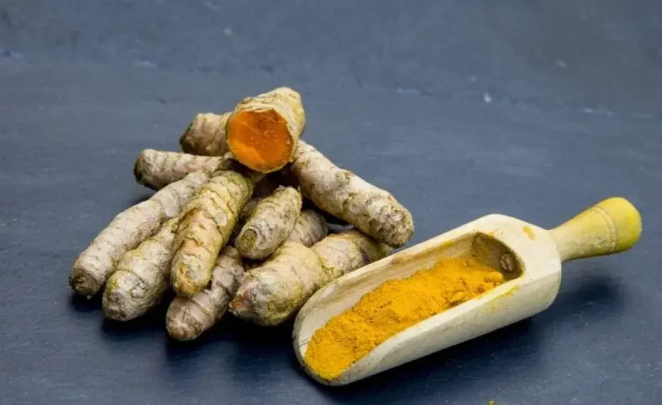 Ilustrasi kunyit. Foto: Rini/Divipro