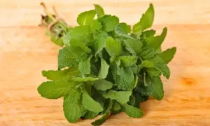 Bahan Alami Pengganti Teh