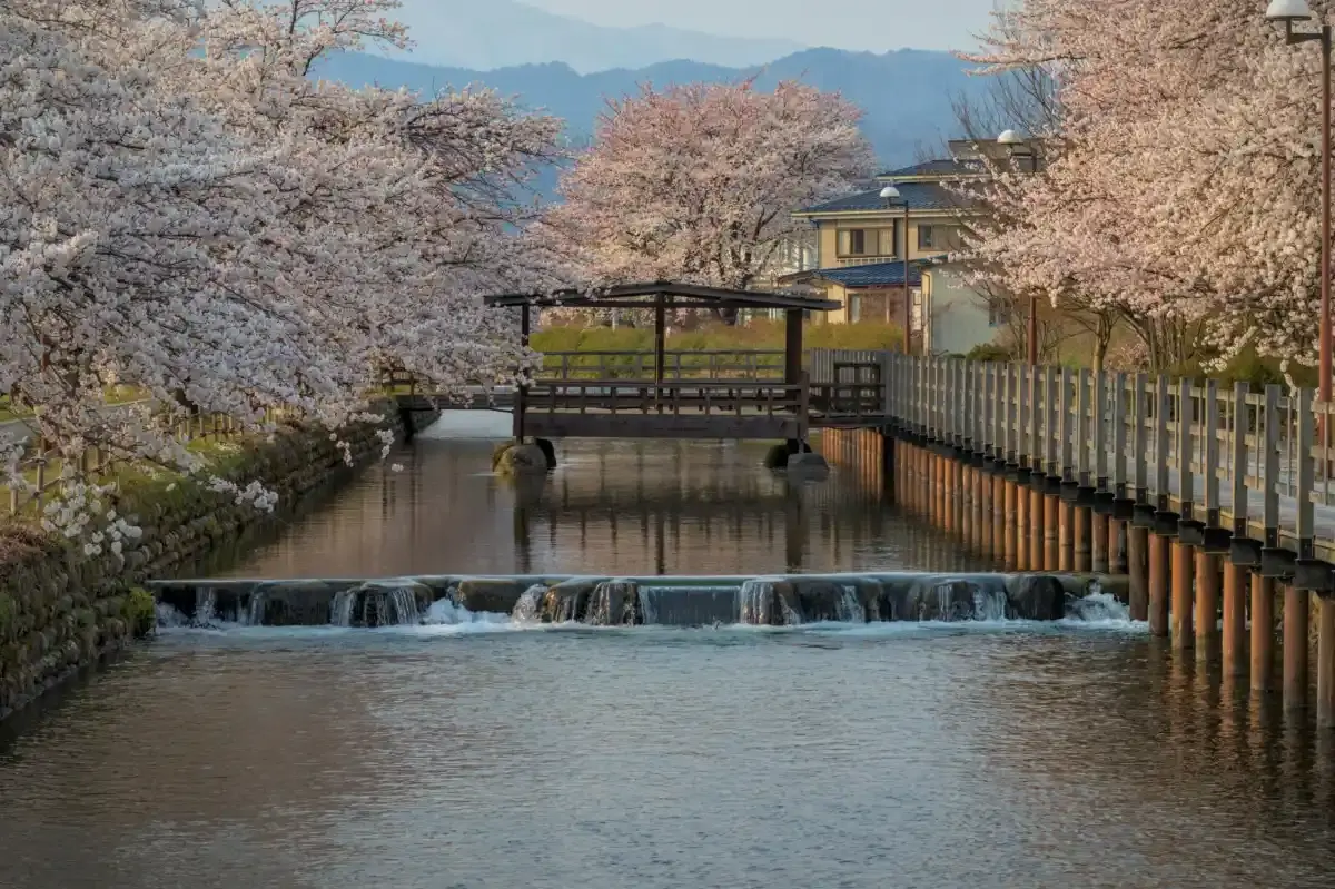 Suasana gazebo yang cantik di tengah sungai ini bisa menjadi inspirasi Desain Rumah dengan Gazebo kamu loh. FOTO: Pexels.com/divipromedia.com