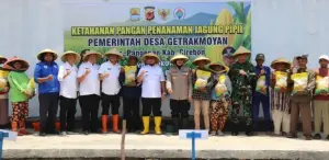 Jagung Pipil di Desa Getrakmoyan