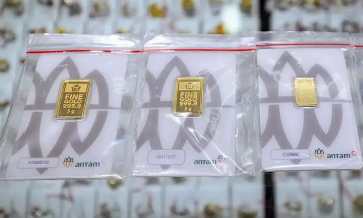 WhatsApp Image 2026-04-13 at 09.10.39