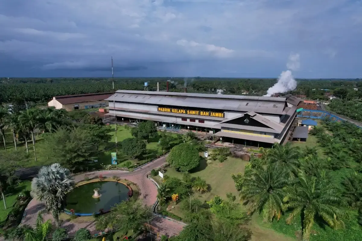Melalui PalmCo, Holding Perkebunan Nusantara Perluas Akses Digital bagi Sekolah di Pelosok